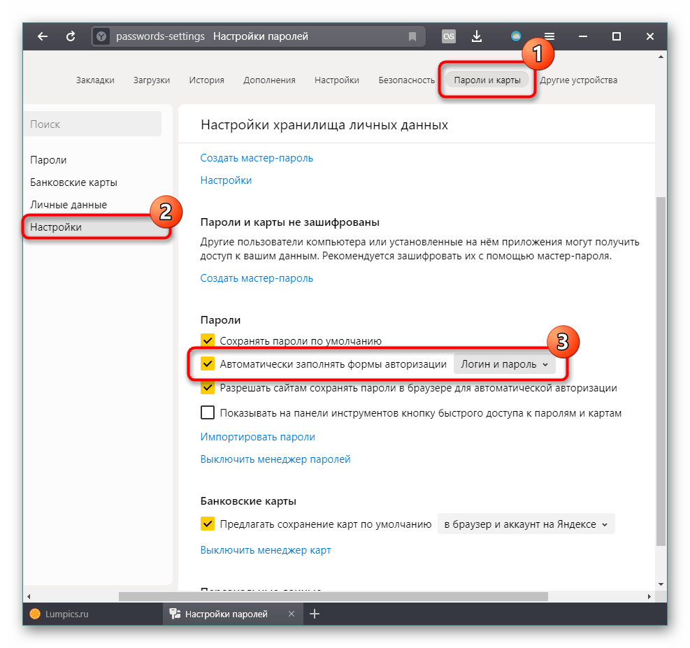Сохранение паролей в браузере. Пароли в Яндекс браузере. Сохранённые пароли в Яндекс браузере. Автоматическое сохранение паролей в браузере.