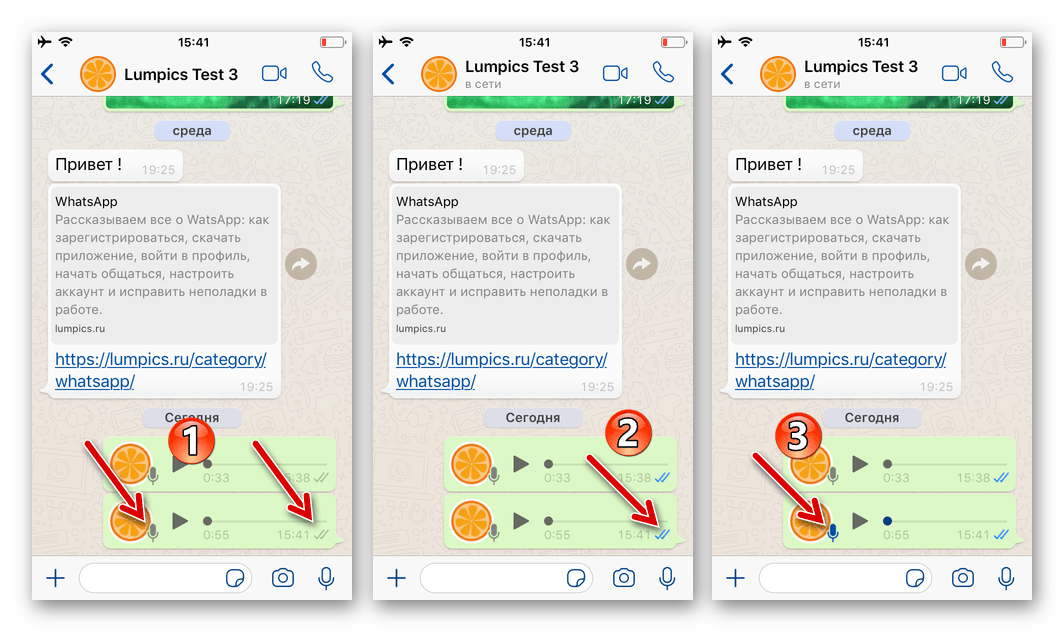 Звук ватсап айфон. Голосовое сообщение в ва. Голосовые сообщения в ватсап. Голосовое в ватсапе. Голосовые сообщения в вотсапе.