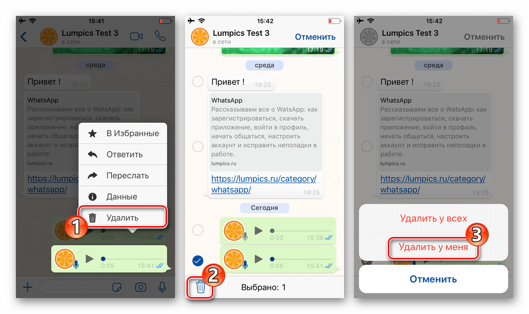 WhatsApp для iPhone - удаление отправленного через мессенджер голосового сообщения у собеседника