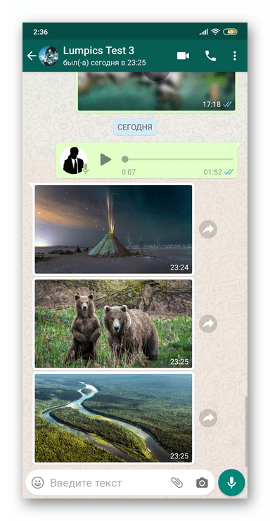 WhatsApp для Android чат с фотографиями, которые нужно выгрузить из мессенджера в память девайса