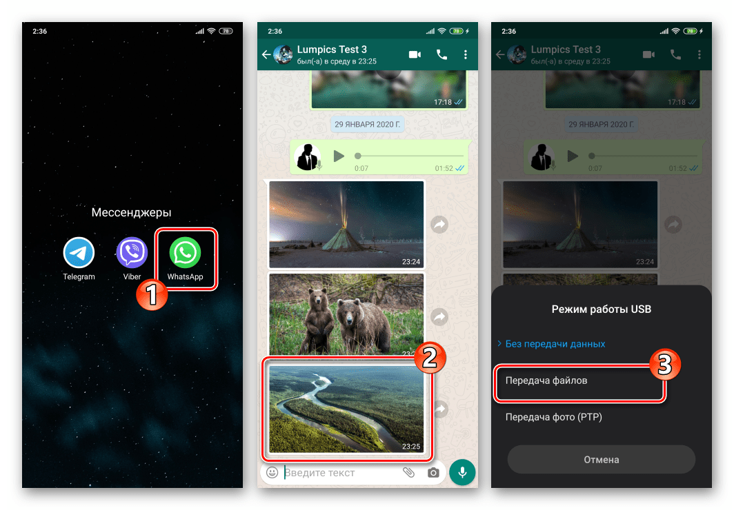 whatsapp dlya android podklyuchenie devajsa k pk s czelyu skopirovat foto iz messendzhera