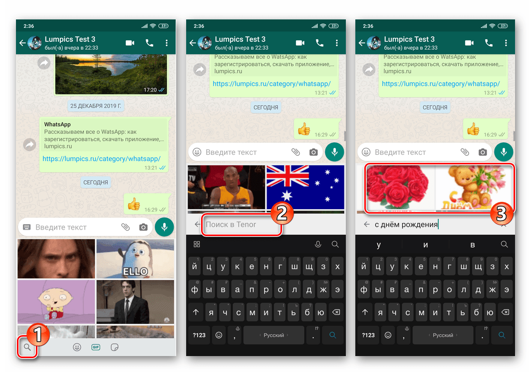 WhatsApp для Android поиск гифки на ту или иную тему в библиотеке мессенджера