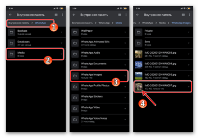 Как перенести фото из ватсапа в галерею телефона андроид