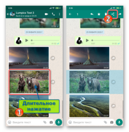 Как с ватсапа перекинуть фото
