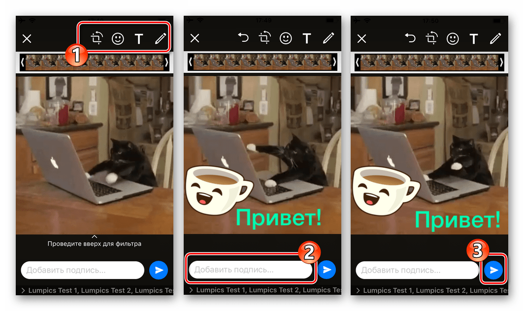 WhatsApp для iOS отправка GIF - добавить эффекты и подпись - отправить в чат