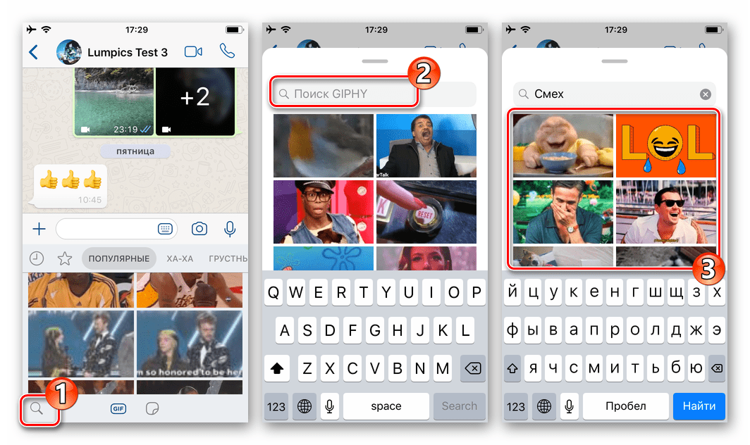 WhatsApp для iOS поиск GIF определенной тематике в каталоге мессенджера