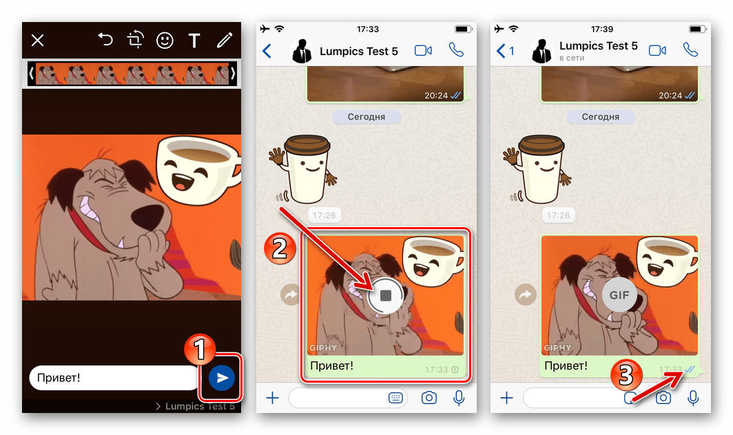 WhatsApp для iOS процесс отправки GIF из каталога мессенджера получателю