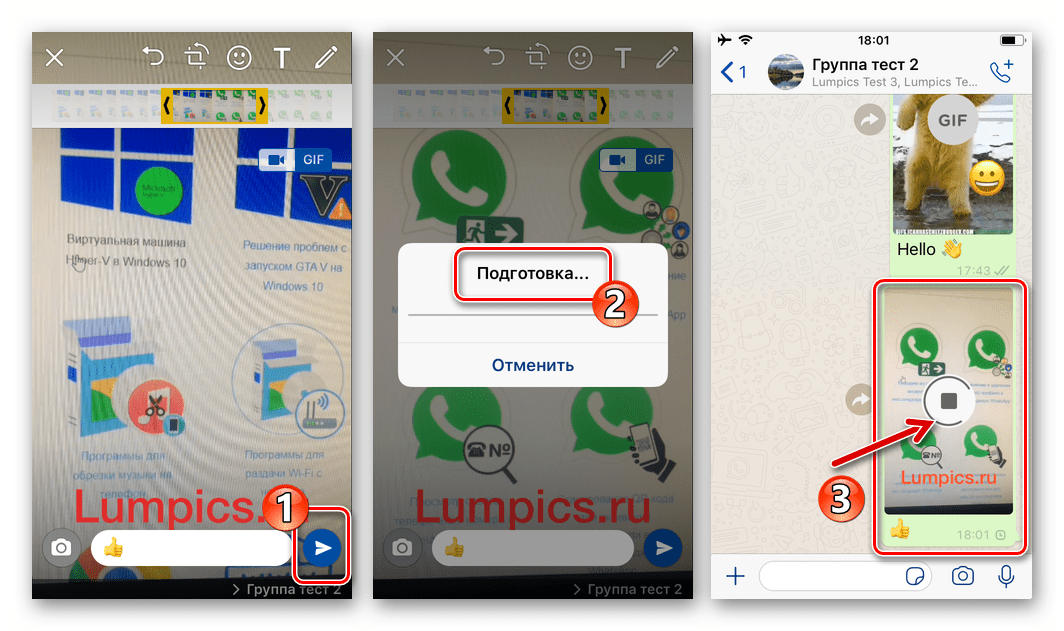 WhatsApp для iOS процесс отправки созданной из видео с камеры iPhone гифки адресату