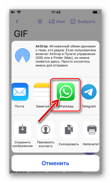 WhatsApp для iPhone в меню Поделиться iOS