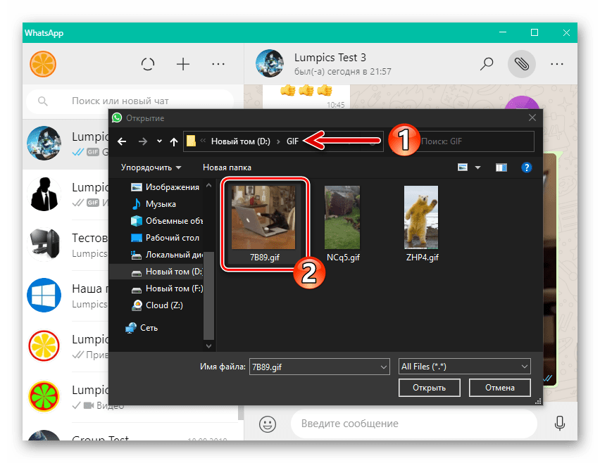 WhatsApp для Windows выбор GIF-файла на диске ПК для отправки через мессенджер