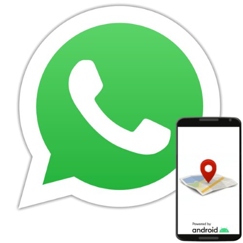 Как скинуть геолокацию по WhatsApp с Андроида