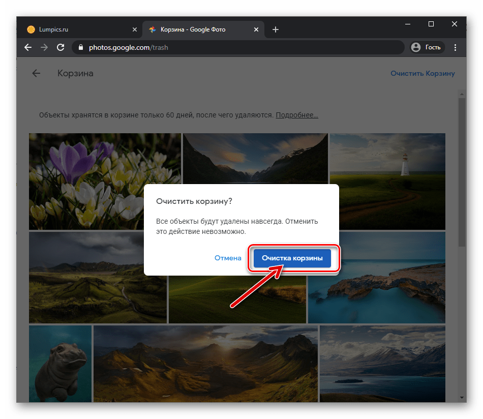 Веб-версия Google Фото подтверждение запроса об удалении объектов из сервиса навсегда