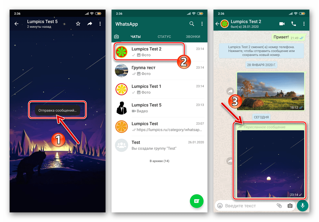 WhatsApp для Android пересылка изображения из одной переписки в другую завершена