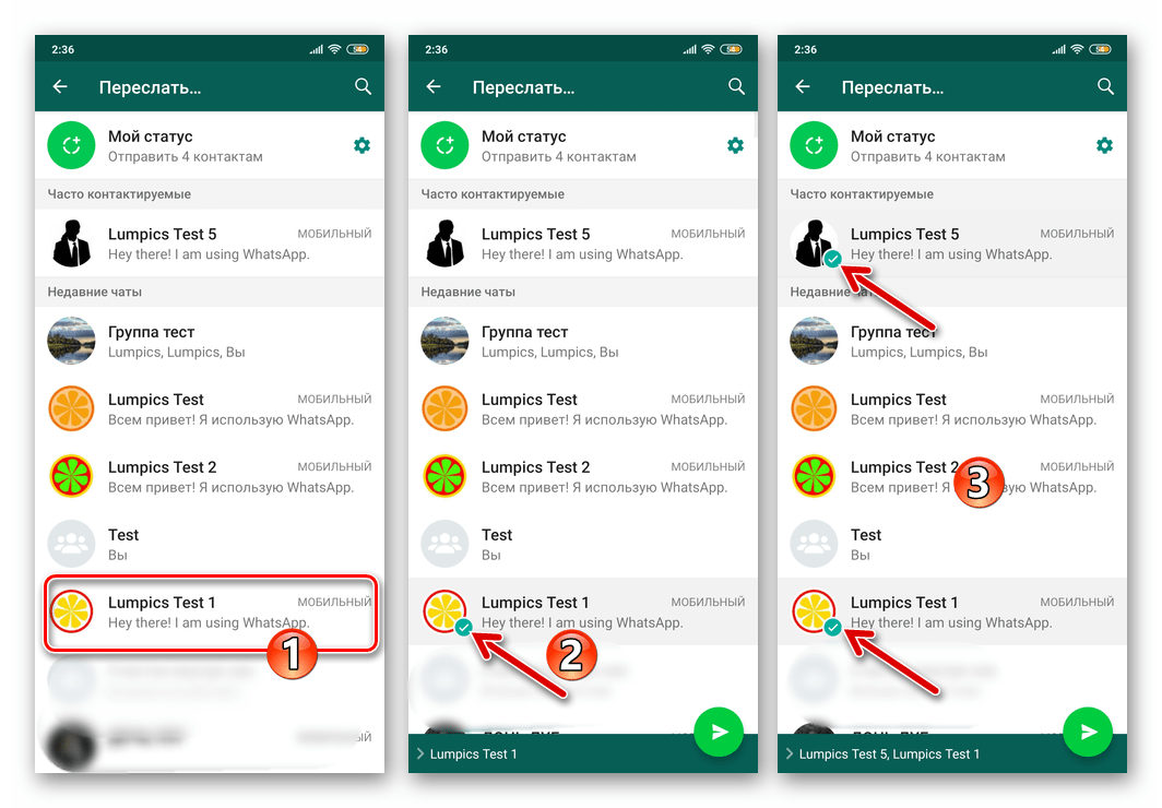 WhatsApp для Android выбор получателей пересылаемых из одного чата в другой сообщений