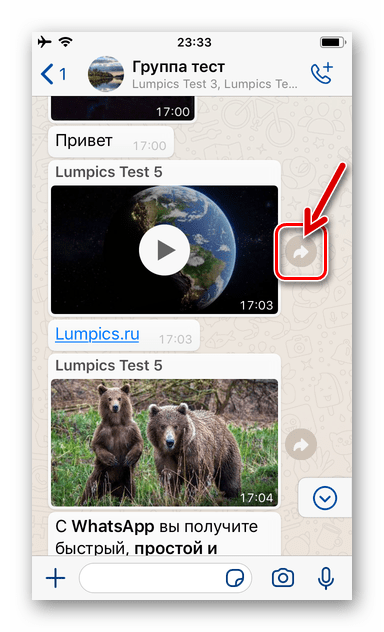 WhatsApp для iPhone элемент интерфейса, вызывающий функцию Переслать на экране чата