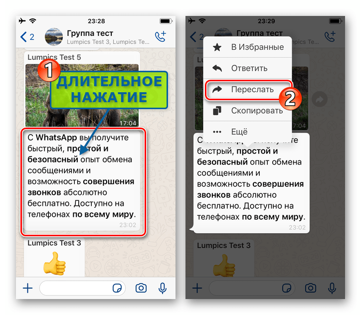 WhatsApp для iPhone вызов контекстного меню сообщения в чате, пункт Переслать