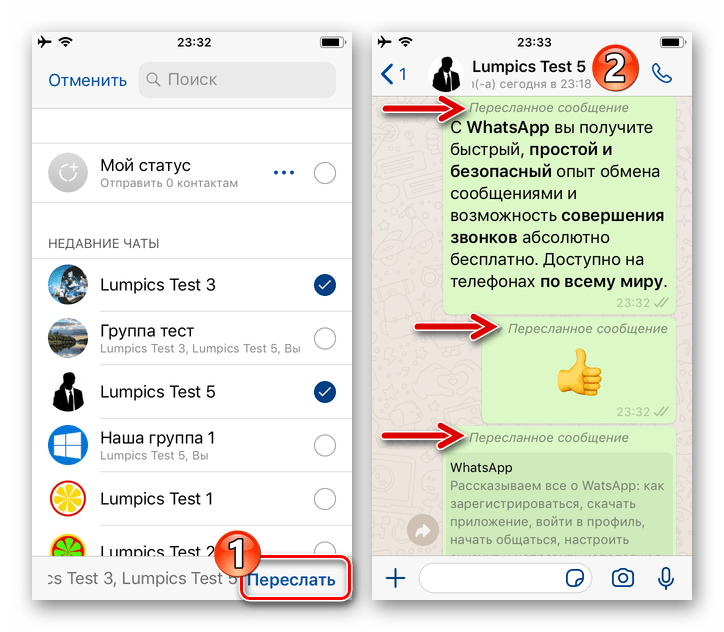 WhatsApp для iPhone завершение пересылки сообщений из одной переписки в другую