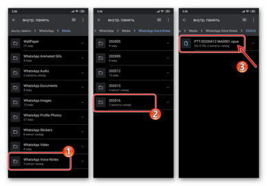 Формат аудио файлов whatsapp