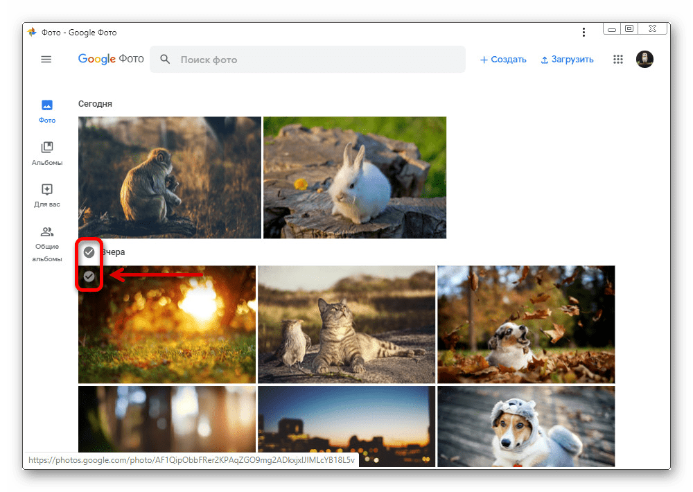 Переход к выбору изображений на веб-сайте Google Фото