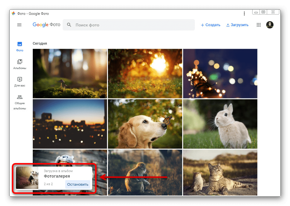 Процесс загрузки изображений с компьютера на веб-сайте Google Фото