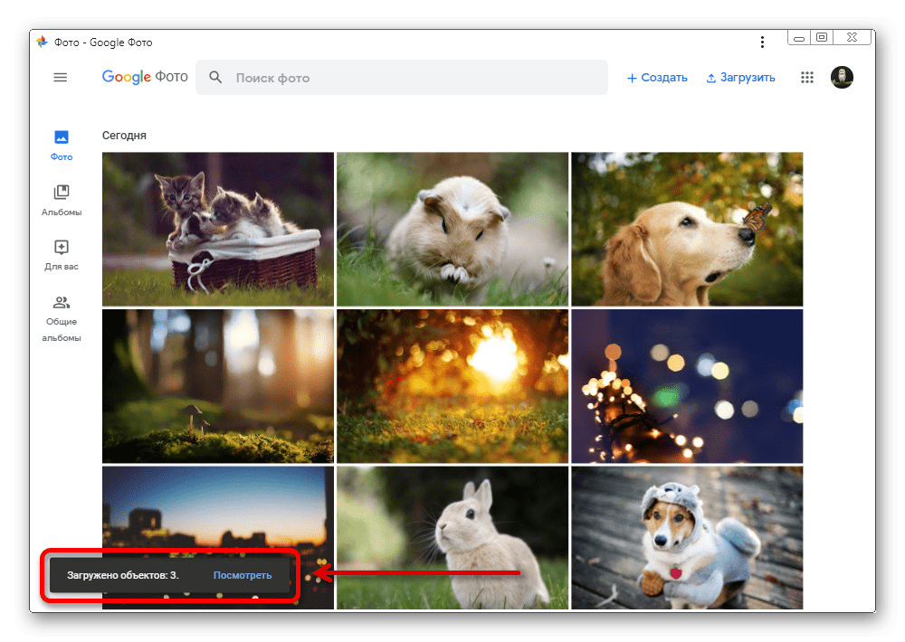 Успешная загрузка изображений из Google Диска на сайте Google Фото
