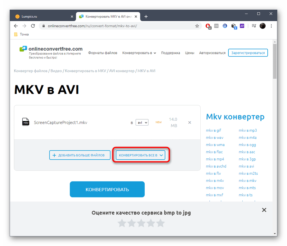 Выбор формата для конвертирования MKV в AVI через онлайн-сервис OnlineConvertFree