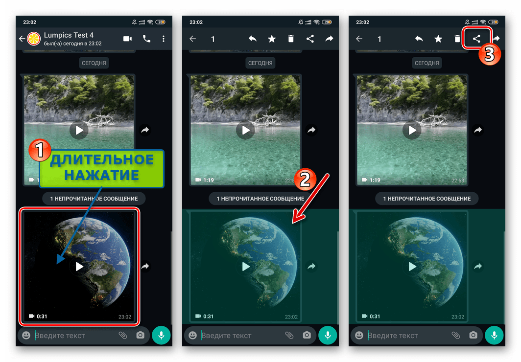 WhatsApp для Android выделение сообщения с видео в чате, вызов опции Поделиться