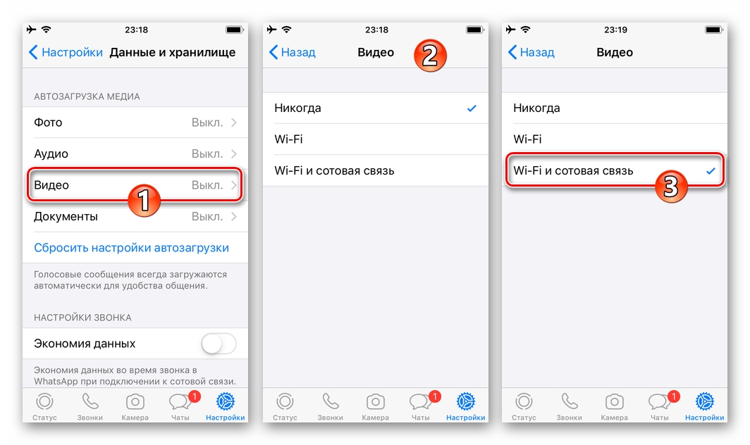 WhatsApp для iPhone активация опции автозагрузки видео из мессенджера
