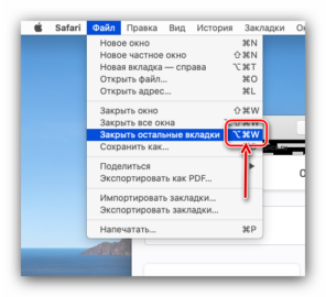 Как включить плагин в сафари на mac os