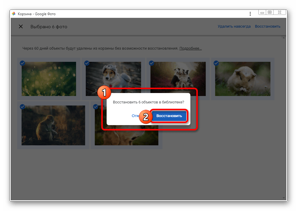 Восстановление изображений в Google Фото