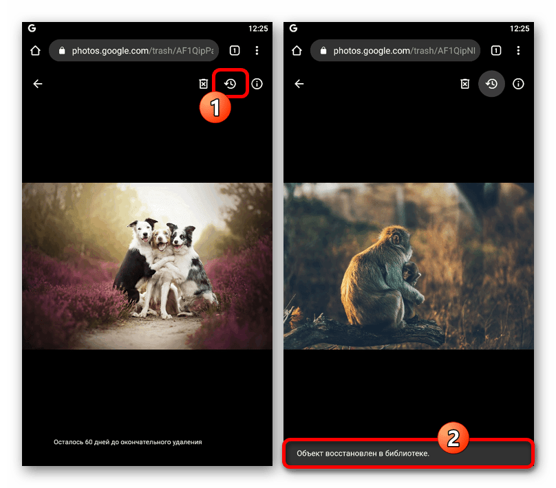 Восстановление отдельного изображения на мобильном сайте Google Фото