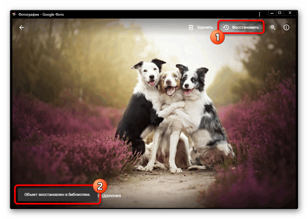 Восстановление отдельных изображений из корзины на сайте сервиса Google Фото