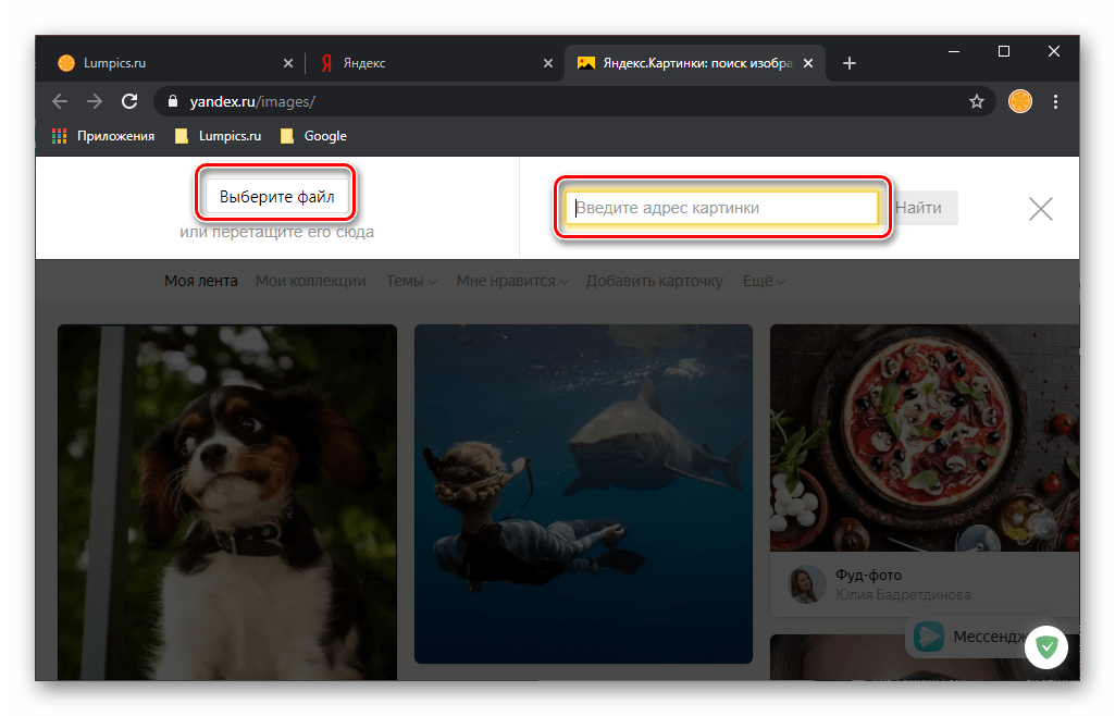 Выбор варианта поиска по картинке в Яндексе через браузер