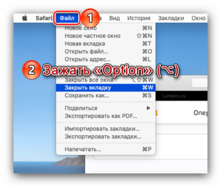 Как включить переводчик в сафари на mac os