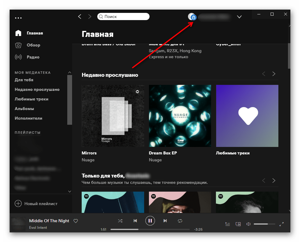 Иконка включенного приватного режима в Spotify