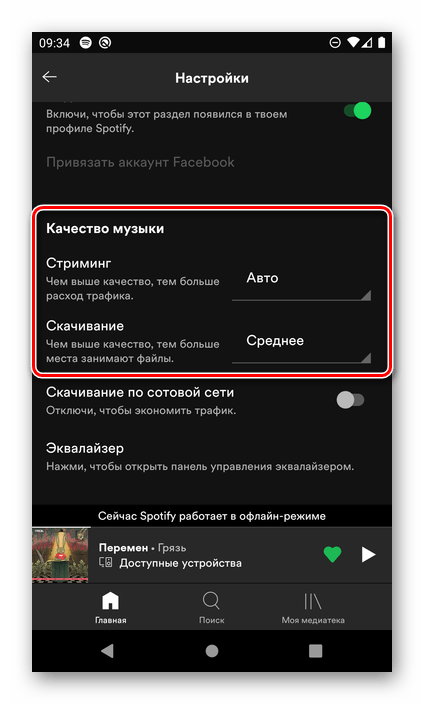 Определение качества музыки в настройках мобильного приложения Spotify для Android