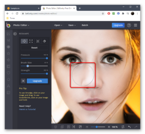 Уменьшить нос на фото онлайн