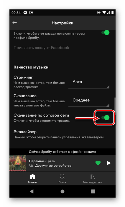 Разрешить скачивание аудио по сотовой сети в приложении Spotify для Android