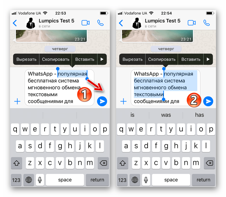 WhatsApp для iPhone выделение фрагмента из нескольких слов при подготвке сообщения к отправке через мессенджер