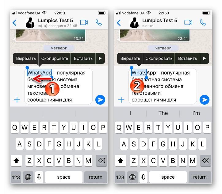 WhatsApp для iPhone выделение нескольких символов в слове из неотправленного через мессенджер сообщения