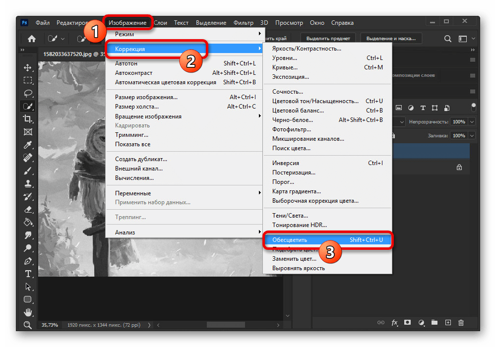 Процесс обесцвечивания слоя в Adobe Photoshop