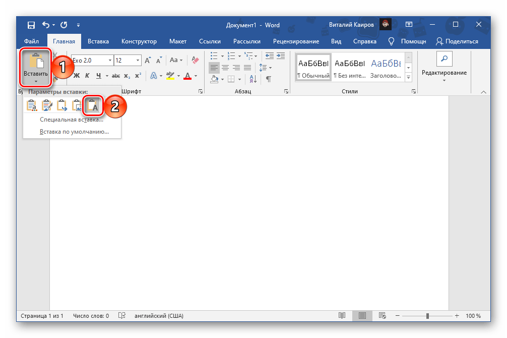Вставить только текст из сконвертированного PDF в новый документ Microsoft Word