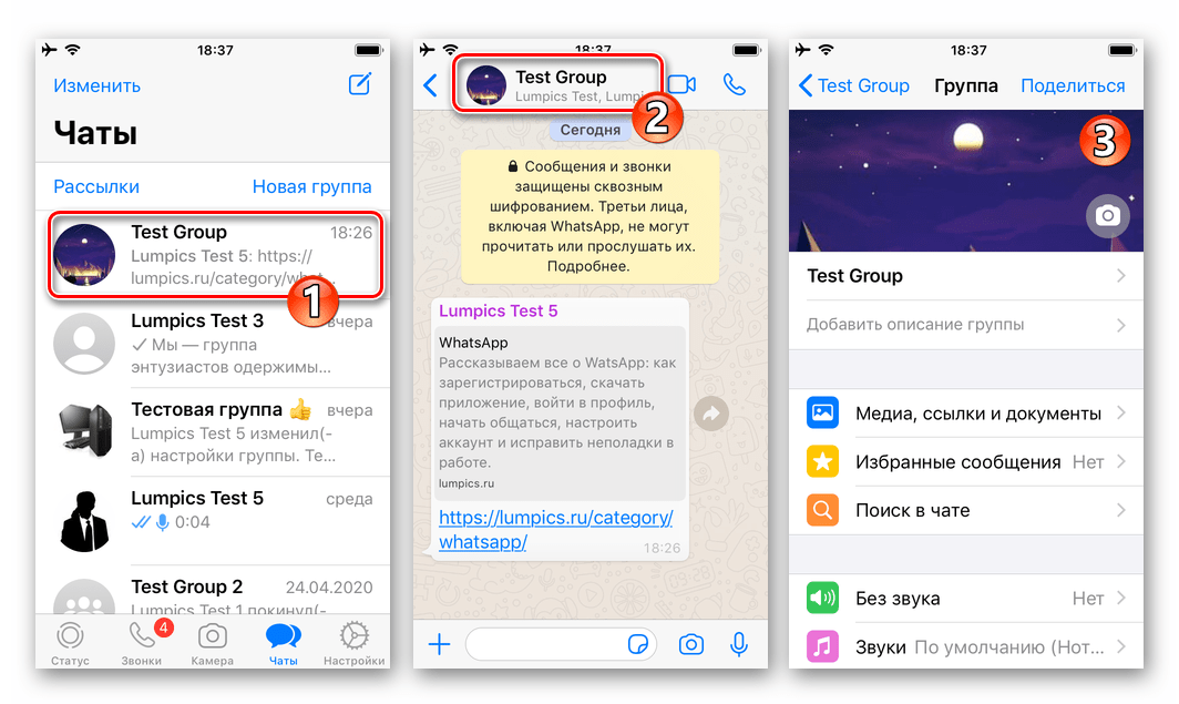 WhatsApp для iOS - переход в групповой чат, открытие его Настроек