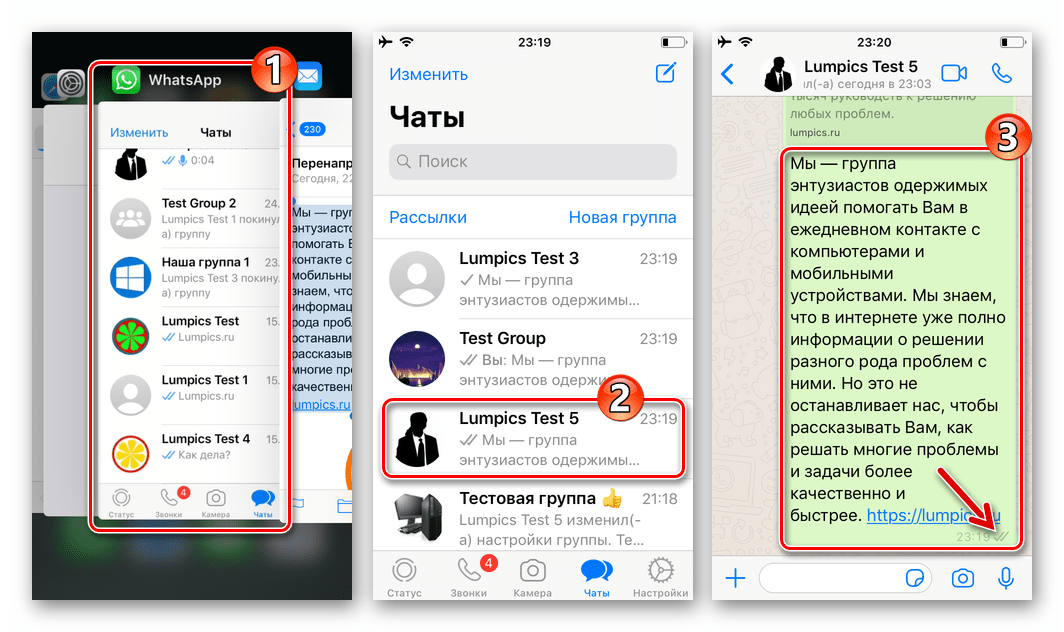 WhatsApp для iPhone отправка информации из электронного письма через мессенджер завершена успешно