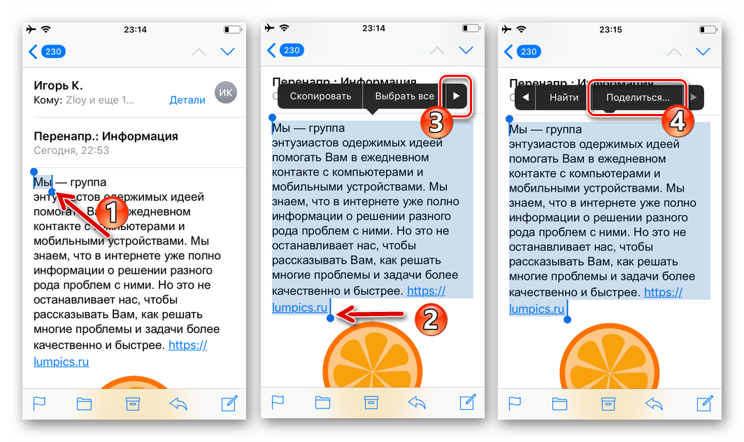 WhatsApp для iPhone выделение отправляемого через мессенджер текста в теле email - функция Поделиться