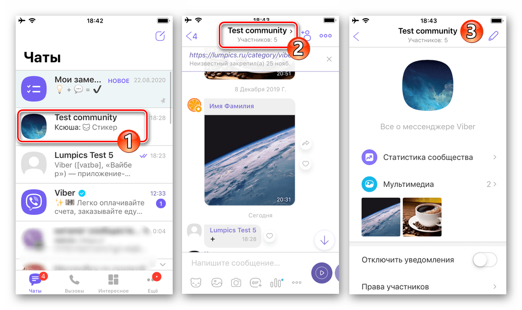 Viber для iPhone открытие администрируемого сообщества в мессенджере, переход в настройки чата