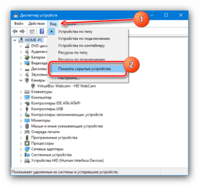 Скрытые устройства в диспетчере устройств windows 10