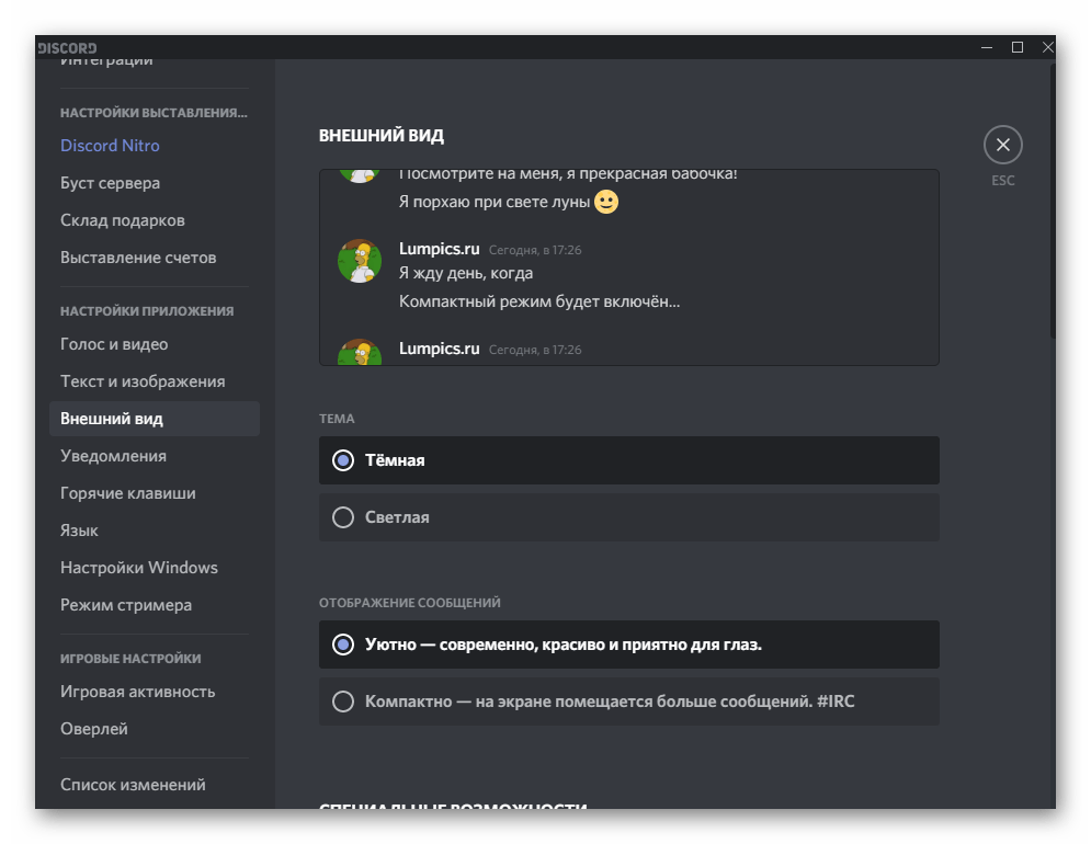 Настройка внешнего вида программы при пользовательской настройке программы Discord