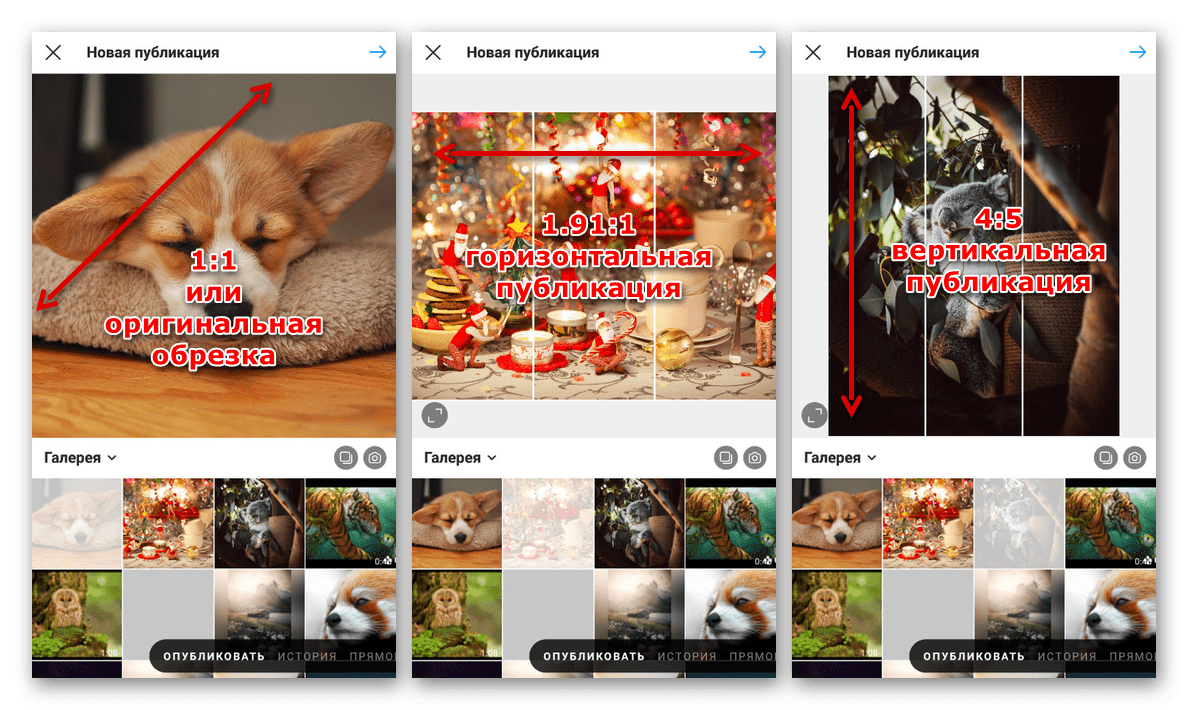 Размеры и масштабы фото в Инстаграм 2021