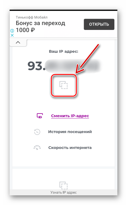 Копирование внешнего ip адреса в сервисе 2ip.ru
